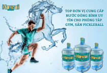 Top Đơn Vị Cung Cấp Nước Đóng Bình Uy Tín Cho Phòng Tập Gym, Sân Pickleball: Giải Pháp Bù Nước, Cân Bằng Kiềm Cơ Thể