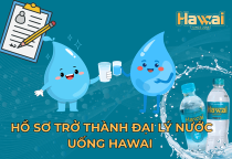 Muốn Phân Phối Nước Hawai? Tìm Hiểu Yêu Cầu và Hồ Sơ Cần Chuẩn Bị