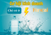 Cơ Hội Kinh Doanh Với Đại Lý Phân Phối Hawai