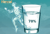  Nước Tinh Khiết An Toàn – Bí Quyết Sức Khỏe Cho Mọi Gia Đình | Hawai RO