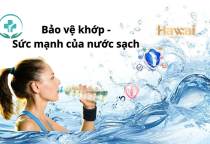 Bảo vệ khớp - Sức mạnh của nước sạch từ Công ty Hawai tại Bình Dương