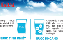 Phân Biệt Nước Khoáng, Nước Suối Và Nước Tinh Khiết