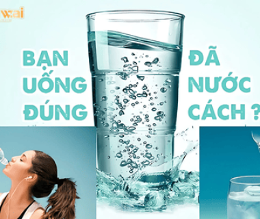 Bí Quyết Uống Nước Đúng Thời Điểm Để Sống Khỏe Mỗi Ngày