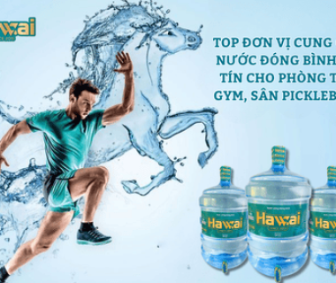 Top Đơn Vị Cung Cấp Nước Đóng Bình Uy Tín Cho Phòng Tập Gym, Sân Pickleball: Giải Pháp Bù Nước, Cân Bằng Kiềm Cơ Thể