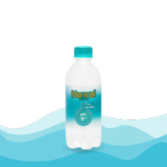 Nước ION Kiềm 350ml